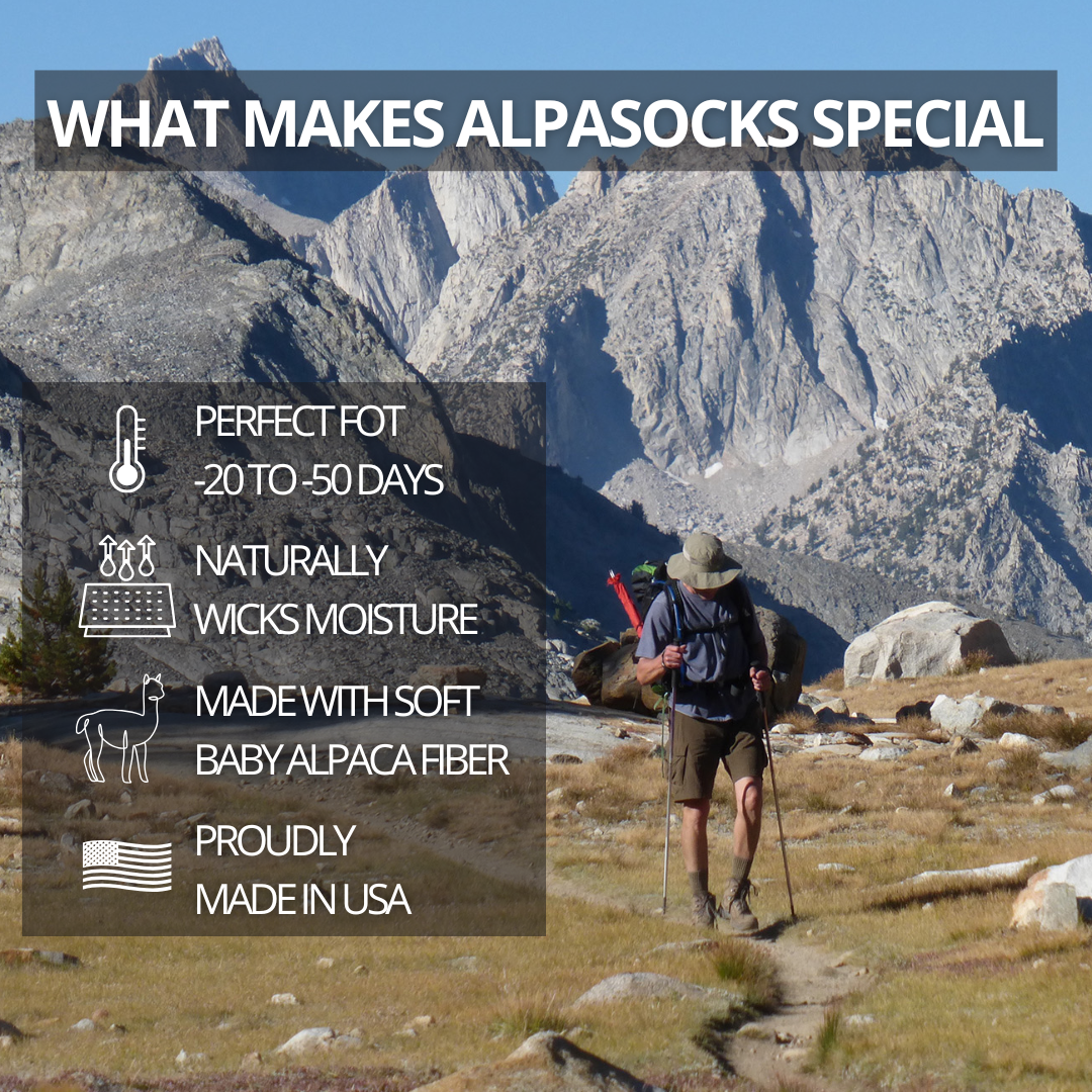 Alpaca Socks